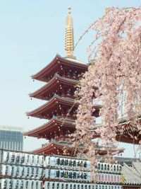 Tokyo ofisi